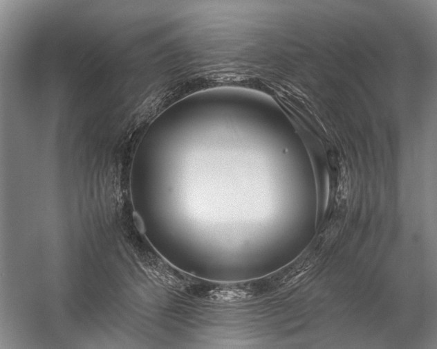 X0000060260512200510281209