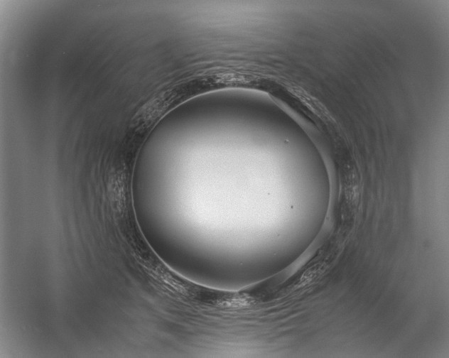 X0000060260513200510281209