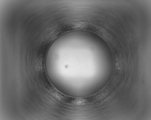 X0000060260514200510281209