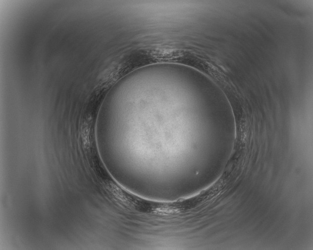 X0000060260515200510281209