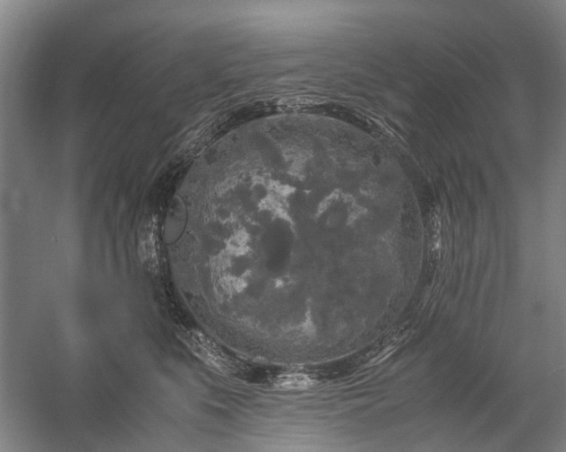 X0000060260519200510281209