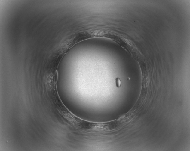 X0000060260521200510281209