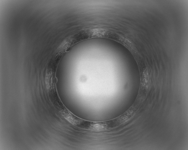 X0000060260522200510281209