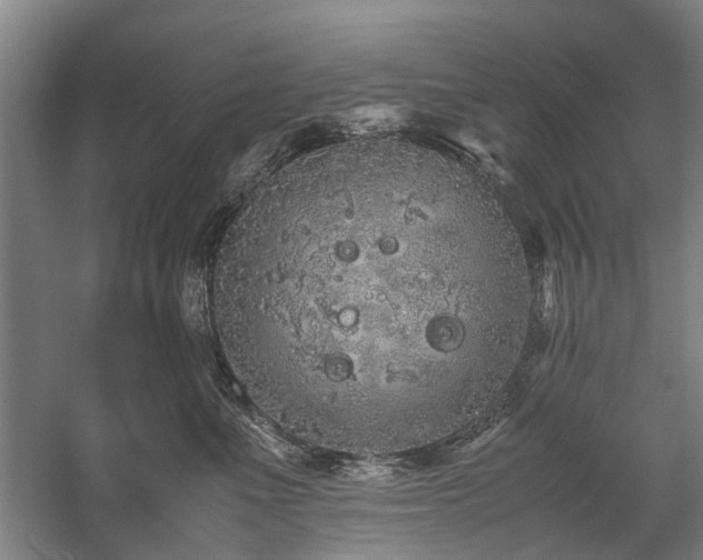 X0000060260523200510281209