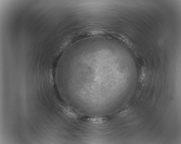 X0000060260524200510281209