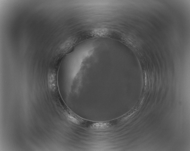 X0000060260526200510281209