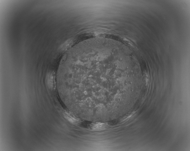 X0000060260527200510281209