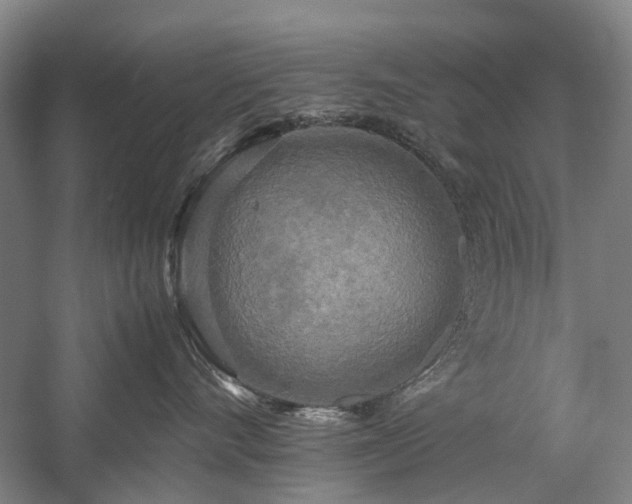 X0000060260528200510281209