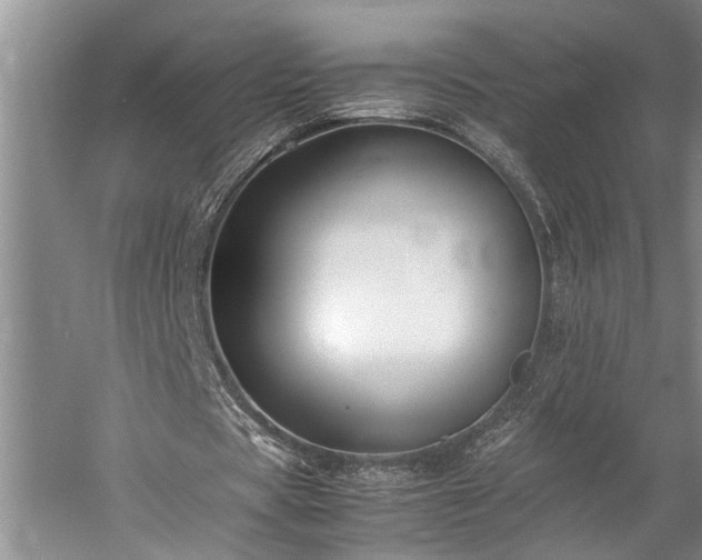 X0000060260529200510281208