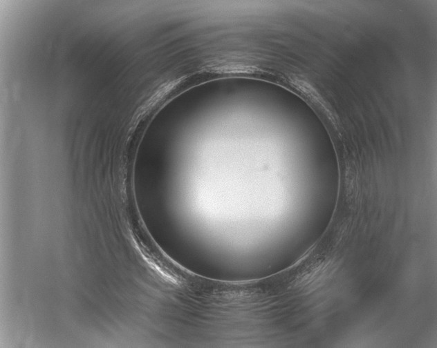 X0000060260533200510281208