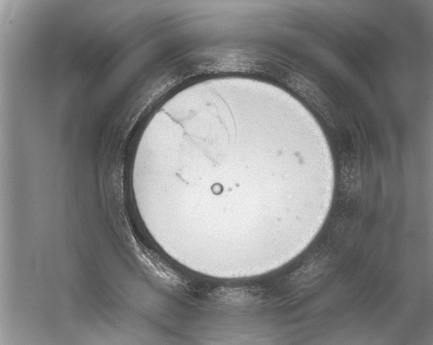 X0000060260534200510281208