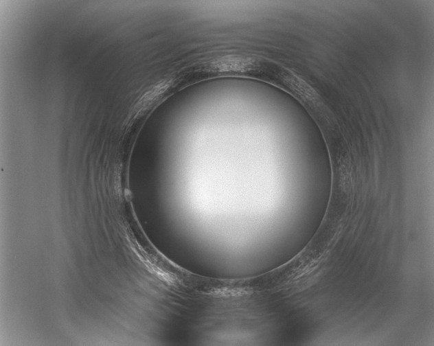 X0000060260537200510281208