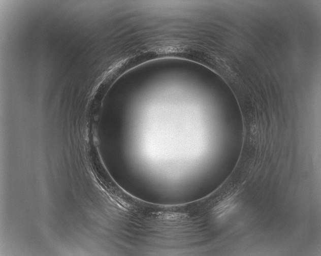 X0000060260539200510281208