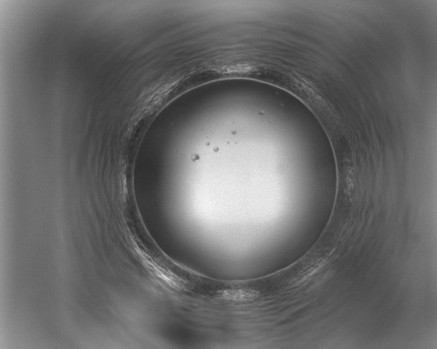 X0000060260541200510281208