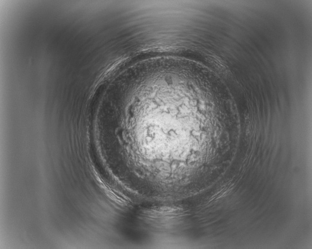 X0000060260542200510281208