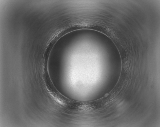 X0000060260544200510281208