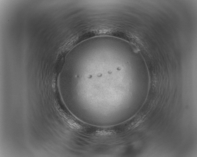 X0000060260545200510281208