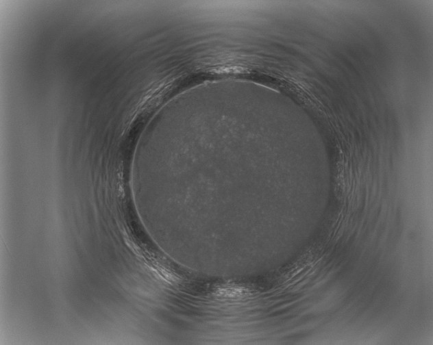 X0000060260547200510281208