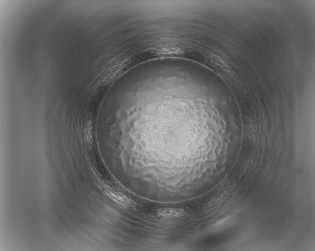 X0000060260549200510281208