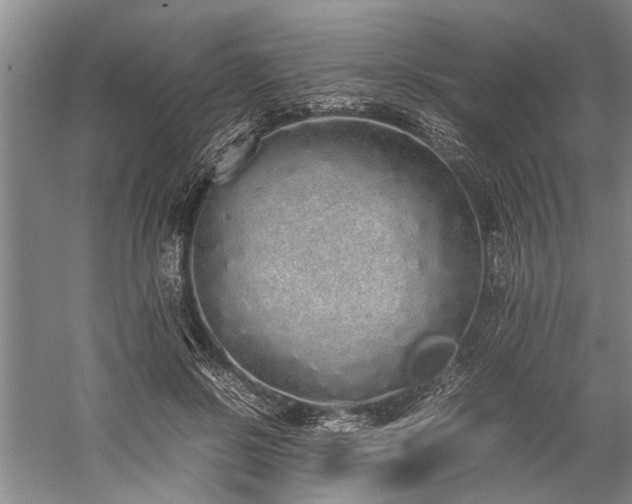 X0000060260550200510281208