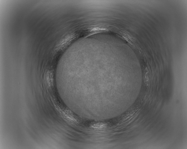 X0000060260551200510281208