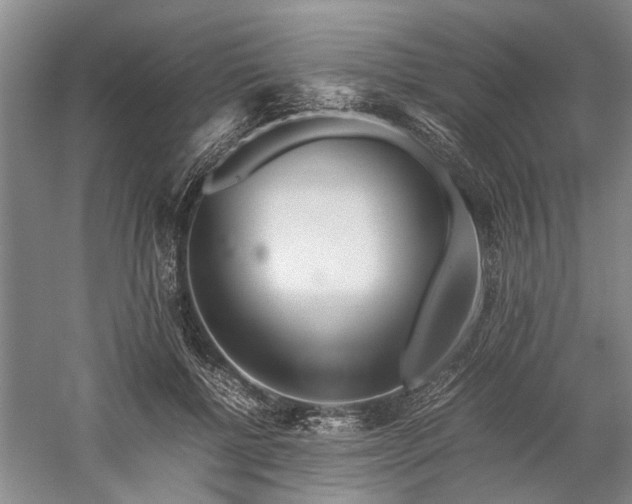 X0000060260552200510281208