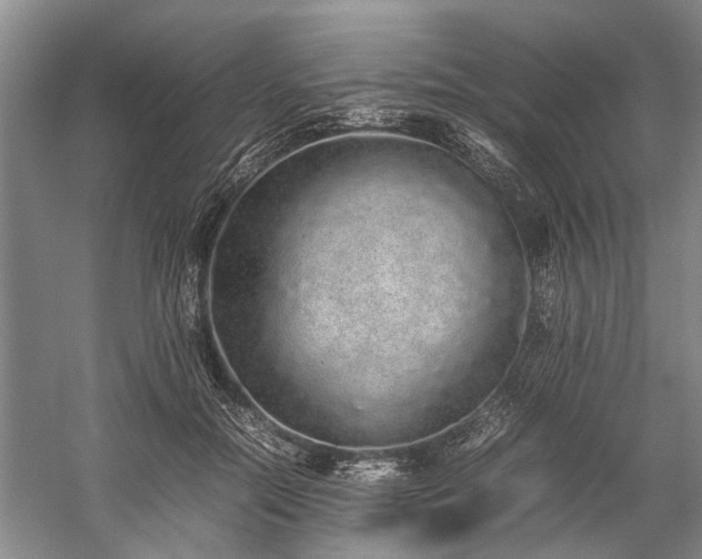 X0000060260554200510281208