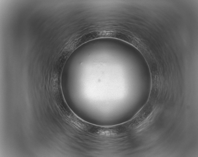 X0000060260557200510281208