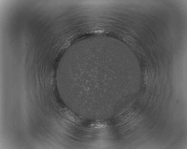 X0000060260559200510281208