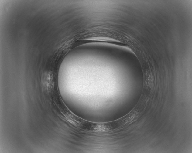 X0000060260562200510281208