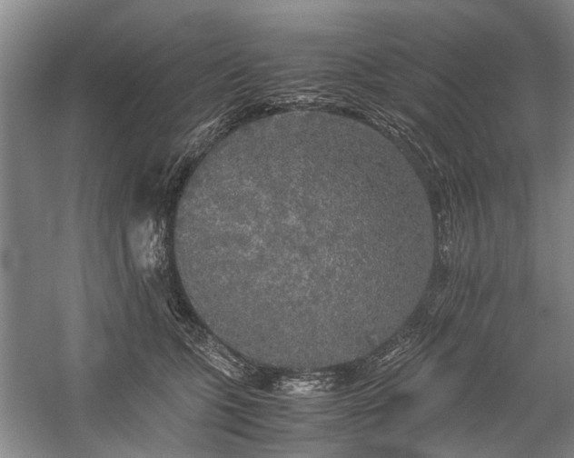 X0000060260563200510281208