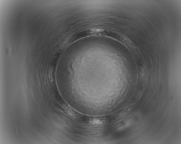 X0000060260565200510281208