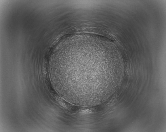 X0000060260569200510281208