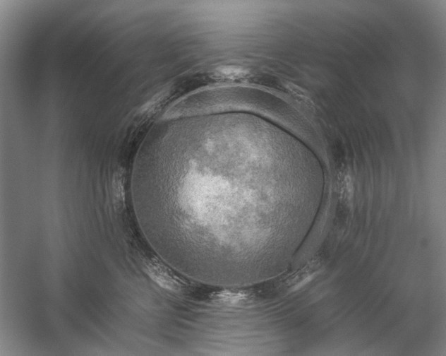 X0000060260570200510281208