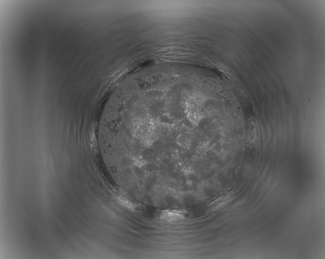 X0000060260573200510281208