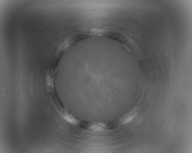 X0000060260576200510281209