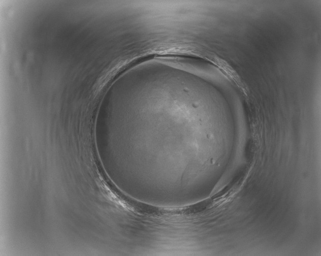 X0000060260577200510281208