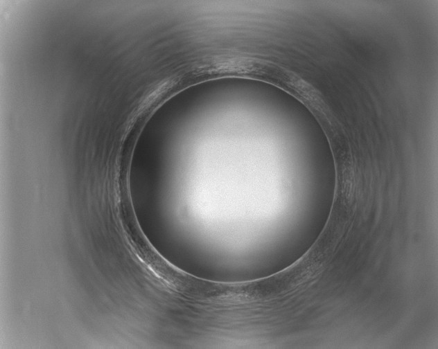 X0000060260578200510281208