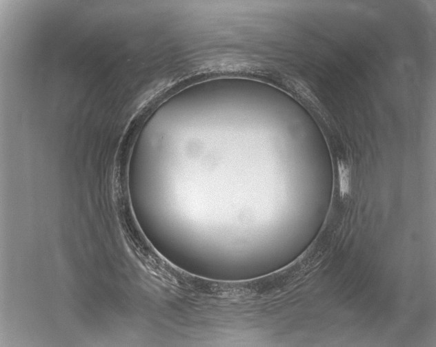 X0000060260579200510281208