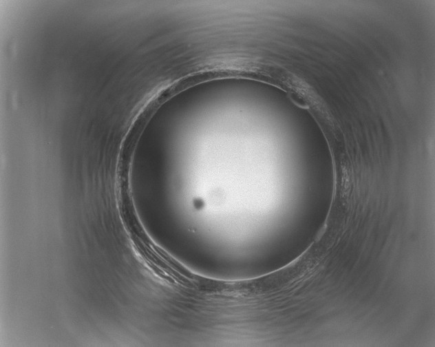 X0000060260580200510281208