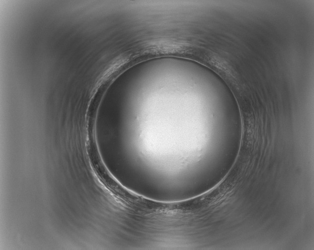 X0000060260582200510281208