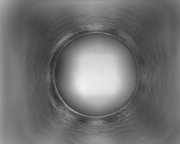 X0000060260583200510281208