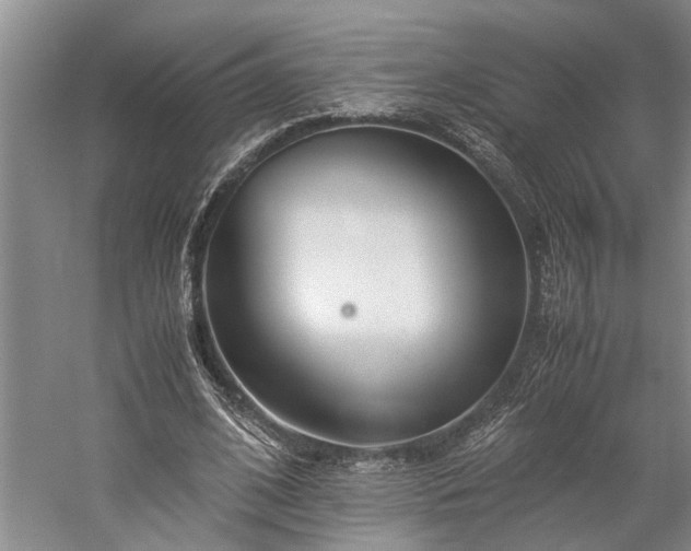 X0000060260584200510281208