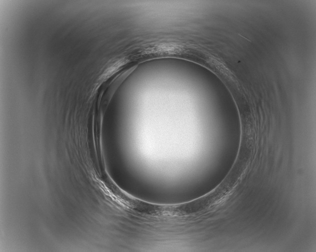 X0000060260585200510281208