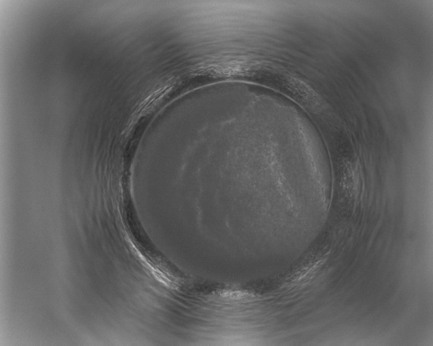 X0000060260590200510281207