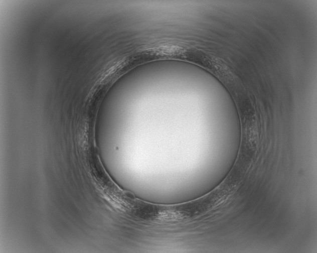 X0000060260591200510281207