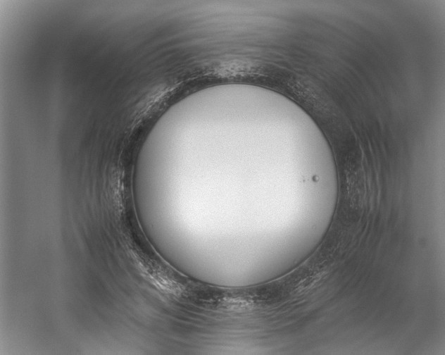 X0000060260592200510281207