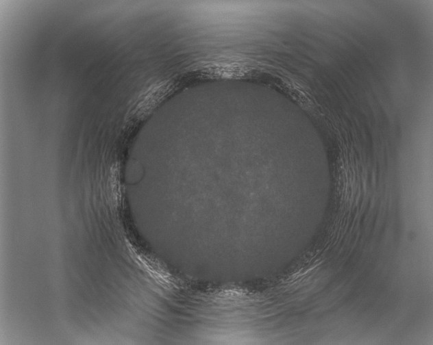 X0000060260594200510281207