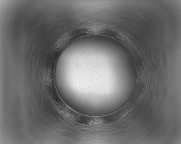 X0000060260599200510281207