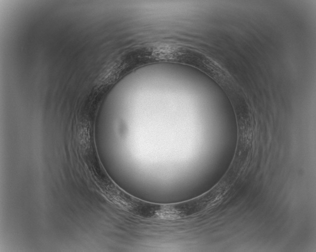 X0000060260603200510281207